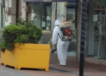 Intensifican tareas de fumigación luego de fin de semana largo con aumento en la circulación de personas