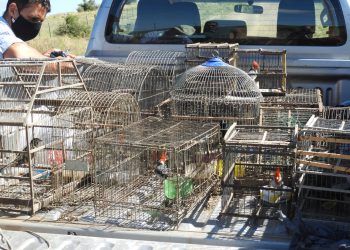 Tinelli confirmó cuándo vuelve a la televisión y si se dará la vacuna contra el coronavirus