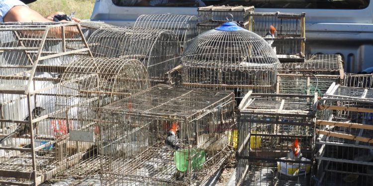 Tinelli confirmó cuándo vuelve a la televisión y si se dará la vacuna contra el coronavirus