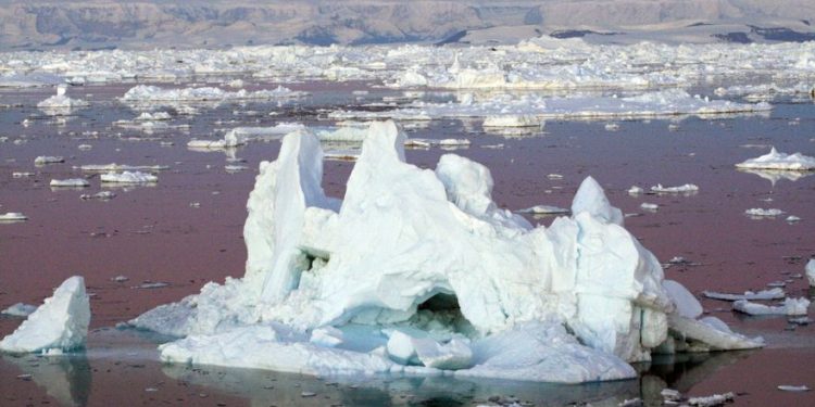 Los océanos registraron altas temperaturas en 2020