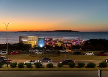 Uruguay: un “hot spot” para los fanáticos de las aves