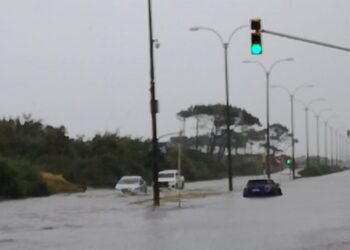 Bajan los casos de COVID-19 a nivel mundial