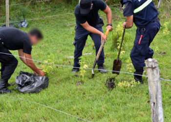 Brasil inmunizará a todos contra COVID-19 en 2021