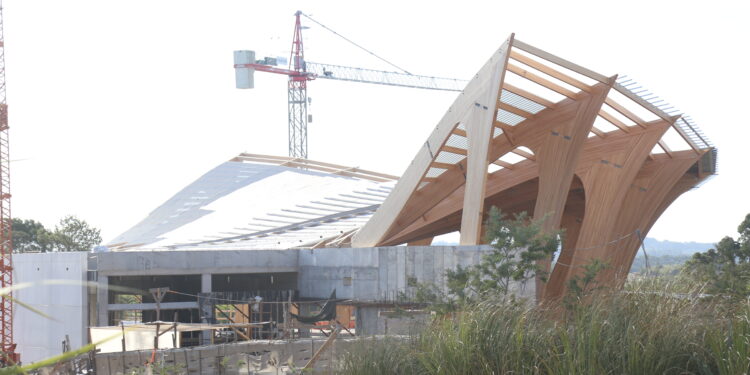 Bajan los casos de COVID-19 a nivel mundial