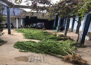 América Latina es la región en desarrollo más afectada del mundo por la pandemia según CEPAL