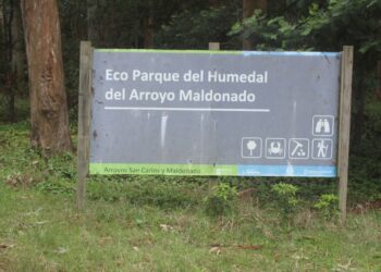 Sector de Susana Hernández reclama respuestas sobre Eco Parque del Arroyo Maldonado a la IDM