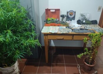 Desarticulan boca de venta de droga en Rocha