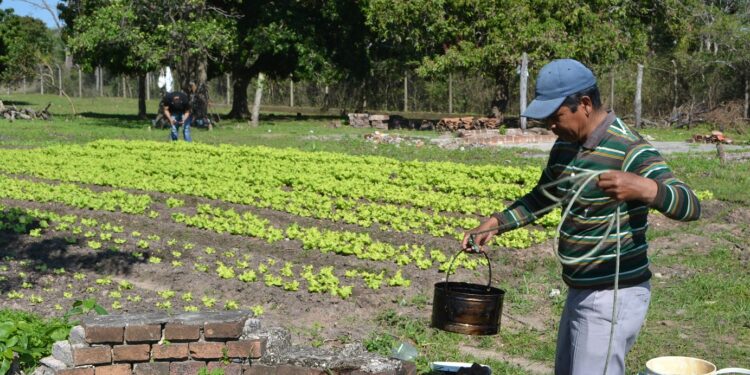 Reclusos de la cárcel de Rocha producirán alimentos para comedores municipales