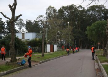Crece interés en propuesta de Antía a Lacalle sobre Jornales Solidarios en todo el país