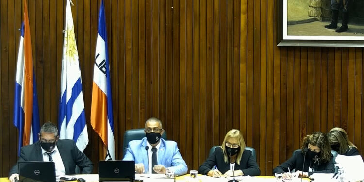 Junta votó en la madrugada paquete de beneficios enviados por la IDM para afectados por crisis sanitaria