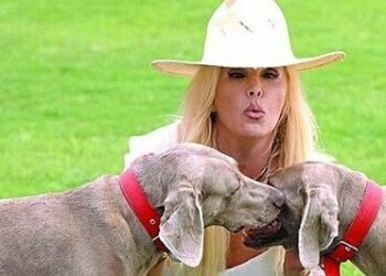 Susana Giménez evoluciona favorablemente