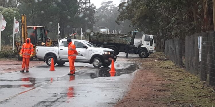 Intenso trabajo por parte de CECOED ante temporal