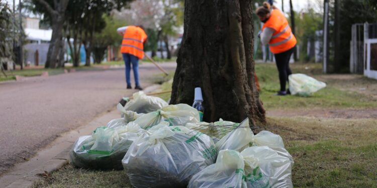 IDM puso en marcha Jornales Solidarios bajo slogan «recuperando la dignidad del trabajo»
