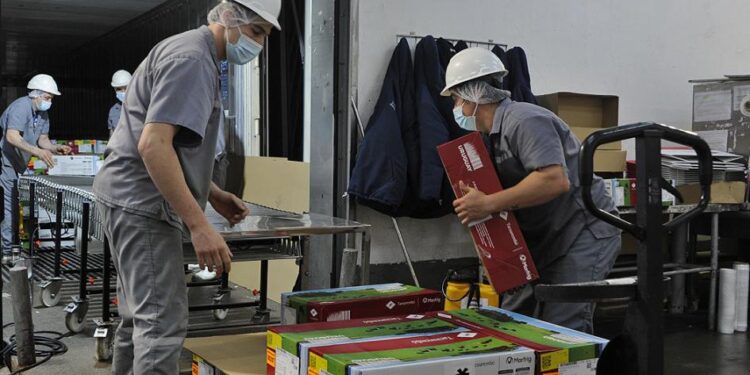 Desempleo cayó en octubre y se ubicó en 8%