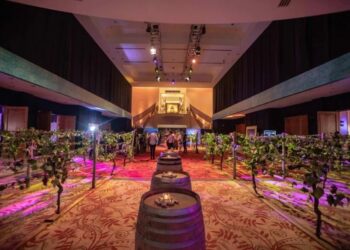 Vuelve el Salón Internacional del Vino de Enjoy Punta del Este con más de 600 propuestas