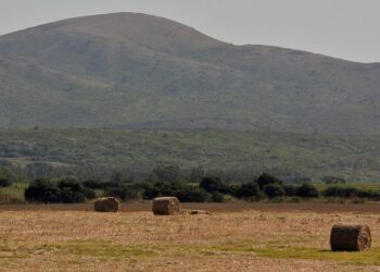 Extienden emergencia agropecuaria