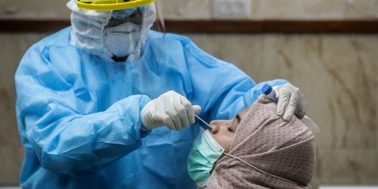 COVID-19: La última semana de 2021 alcanzó el mayor número de casos reportados