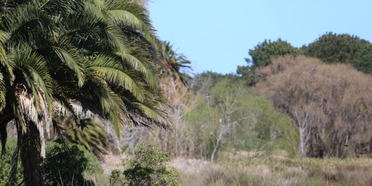 2 de febrero: Día Mundial de los Humedales