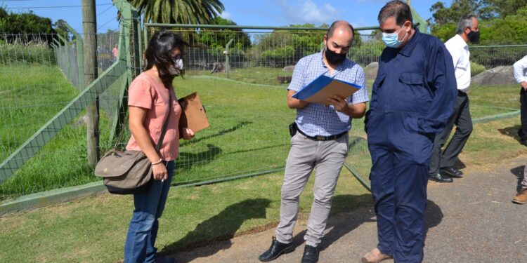 La IDM realiza la puesta en valor de una de las zonas más características de Maldonado
