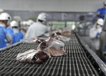 Frigoríficos nacionales fueron habilitados a exportar carne a Egipto