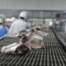 Frigoríficos nacionales fueron habilitados a exportar carne a Egipto