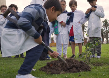 Punta del Este adhirió al día mundial de los bosques con la plantación de árboles