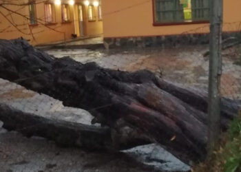 Sin daños mayores por el temporal