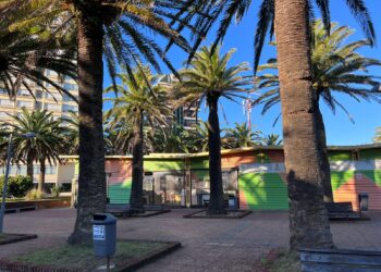 Fiscalía aún no logró acreditar la identidad de uno de los menores que robó y causó daños en la Feria de los Artesanos