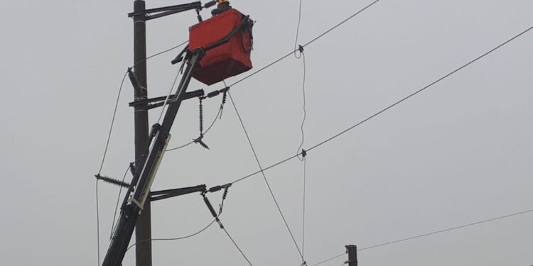 Más de 7500 hogares permanecen sin luz en Maldonado