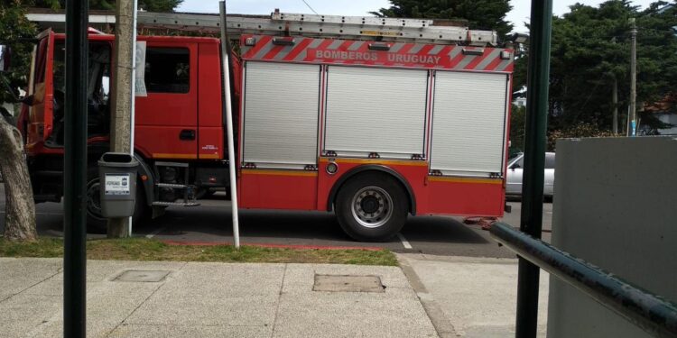 Bomberos realizó casi 50 intervenciones en el departamento de Maldonado