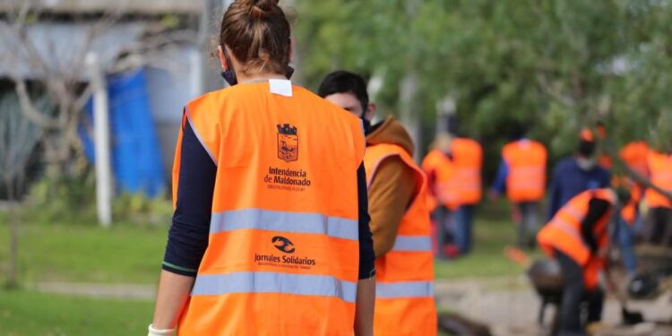 Jornales Solidarios: comenzaron las inscripciones para este programa social impulsado por Maldonado