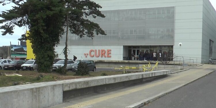 «Semana de las ciencias» culmina luego de varios días de propuestas interactivas y sensoriales