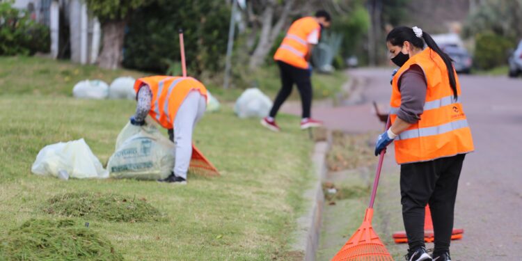 Hasta el viernes hay plazo a interesados en acceder al programa Jornales Solidarios; IDM colabora con quienes no puedan realizar el trámite