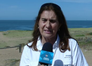 Maldonado Seguro también en materia medioambiental