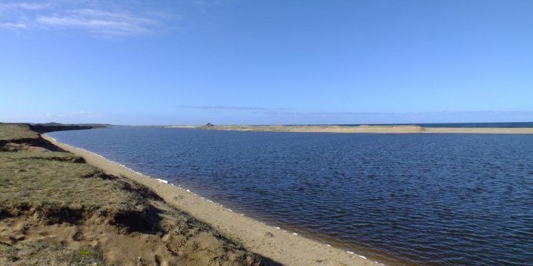 Informe sobre Laguna Garzón indica que este ecosistema se encuentra en un estado «vulnerable»
