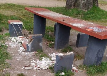 Denuncian vandalismo en el Parque de San Carlos y la zona de la Alameda