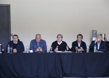 Mozeglio confirmó avances en materia de conectividad y cruceros