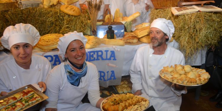 Maldonado Solidario; casi 17 mil alumnos en más de 100 cursos gratuitos
