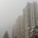 ¿A qué se debe la intensa niebla que cubre Punta del Este?