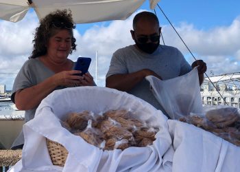 Vendedores de pasteles del Puerto de Punta del Este aún esperan por la instalación de refugios para trabajar &nbsp;