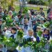 Se realizó la cosecha en la huerta educativa del Municipio de Maldonado con niños de la Escuela 93