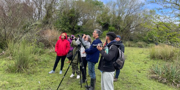 ¿Por qué el birding es una actividad de triple impacto?