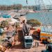 Llegó una de las cuatro vigas que servirán para apuntalar el puente 2