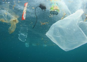 Contaminación: se producen más de 400 millones de toneladas de plástico al año en el mundo