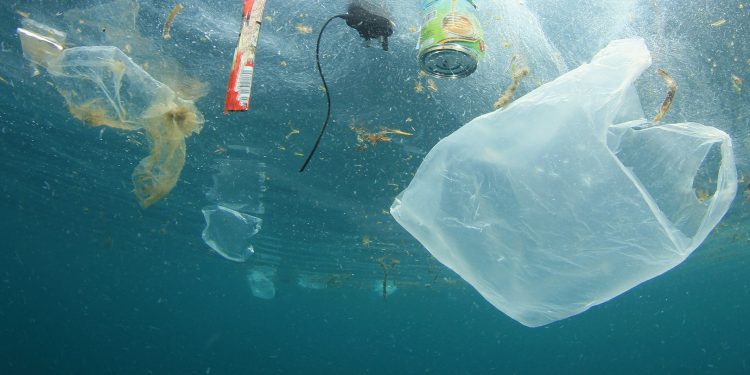 Contaminación: se producen más de 400 millones de toneladas de plástico al año en el mundo