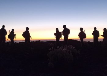 «Senderos en la noche» una nueva propuesta en el Este