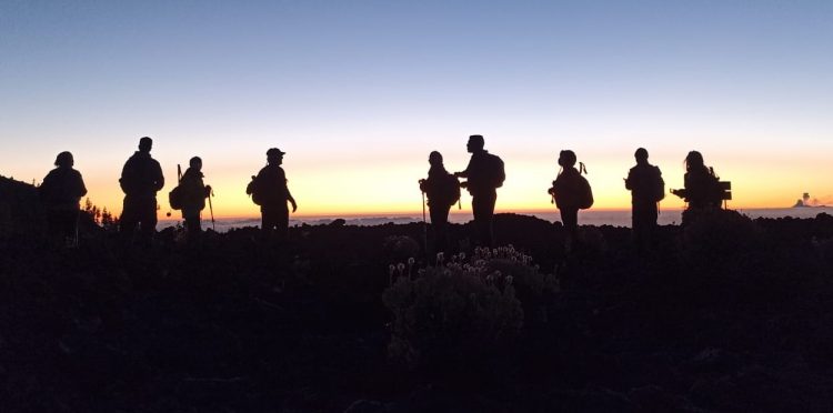 «Senderos en la noche» una nueva propuesta en el Este