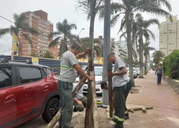 Punta del Este se prepara para la temporada embelleciendo Gorlero