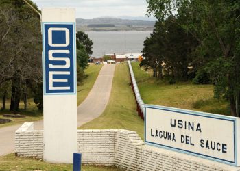 OSE asegura que la calidad del agua en Maldonado es óptima