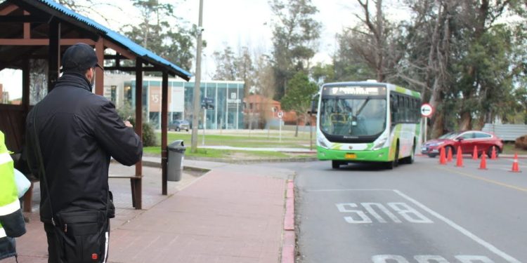 Ómnibus cambiarán sus recorridos de cara a la temporada de verano